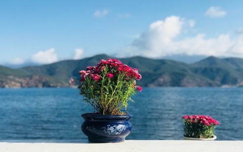 简单生活心态的句子