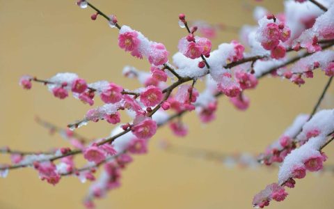 无根水是什么水？什么是无根水