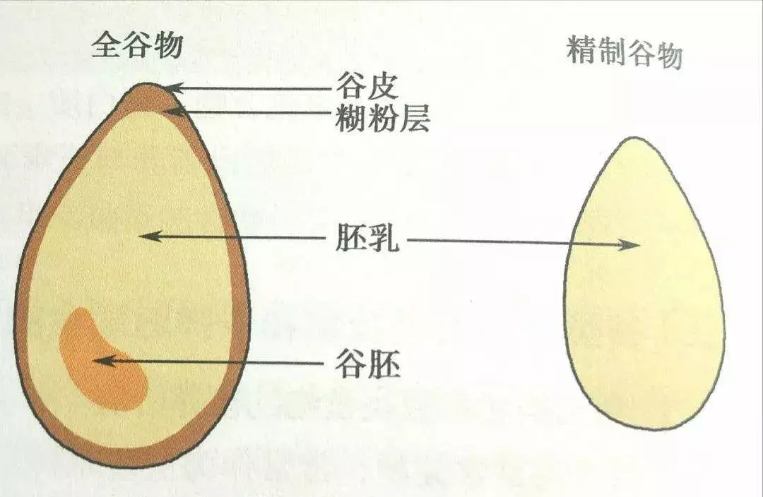 青稞是什么，青稞食品怎么选？