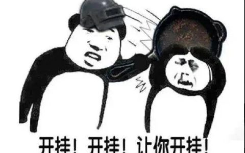 开挂是什么意思?