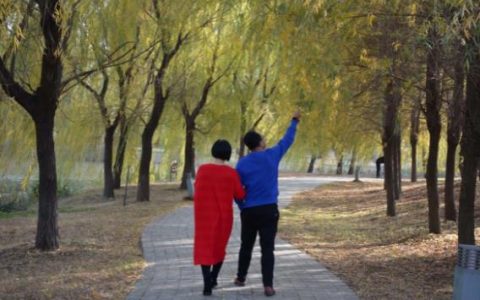 伉俪是什么意思