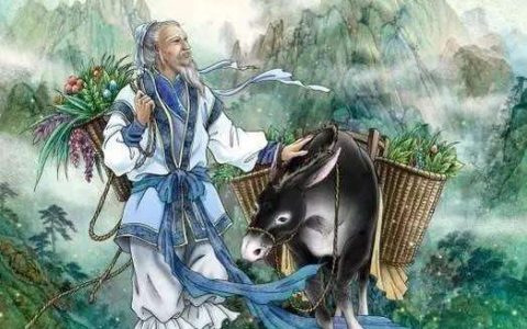 杏林指代的是什么？杏林是谁的代称