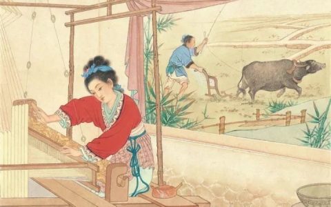 曾母投杼是什么意思（关于母爱的成语）