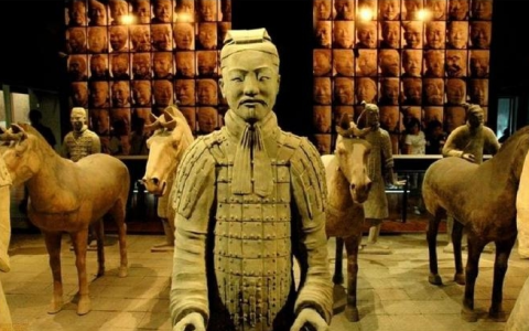 兵马俑的形象特点（兵马俑的主要特点）