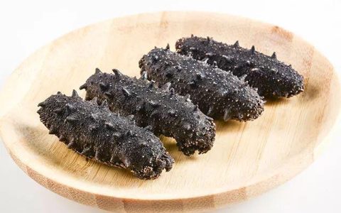 春参好还是秋参好？春参秋参有什么区别