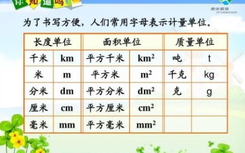 dm2是什么单位?