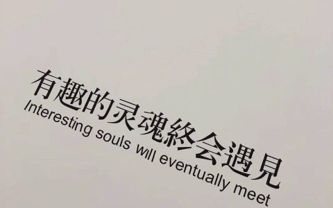有趣的灵魂经典句子下一句（有趣的灵魂经典语录）