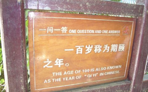 百岁老人的雅称（百岁老人的称呼）