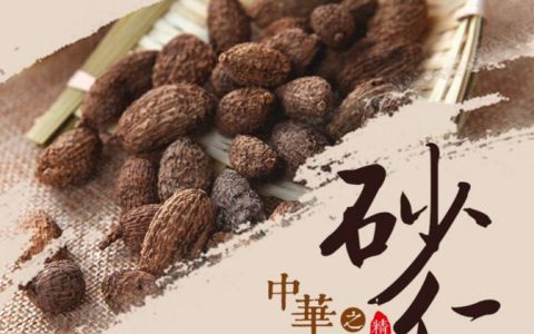 阳春特产（阳春特产有哪些）