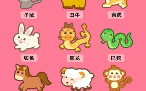 十二生肖是什么生肖（十二生肖从它来是什么生肖）