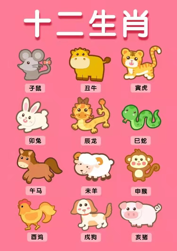 十二生肖是什么生肖（十二生肖从它来是什么生肖）