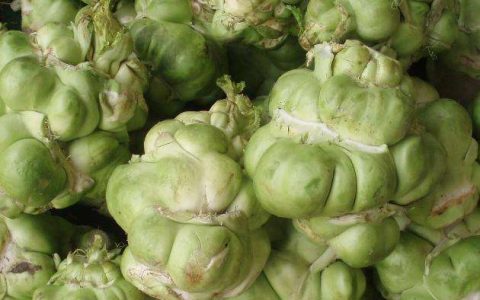 冲菜是什么菜（冲菜是什么菜做成的）