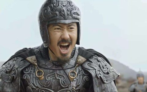 三国时期最后是谁统一了三国(三国最后被谁统一了)