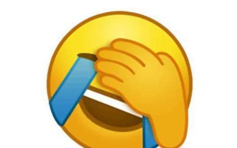 会错意是什么意思？