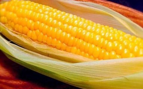玉米水煮要多久？玉米煮多久能熟