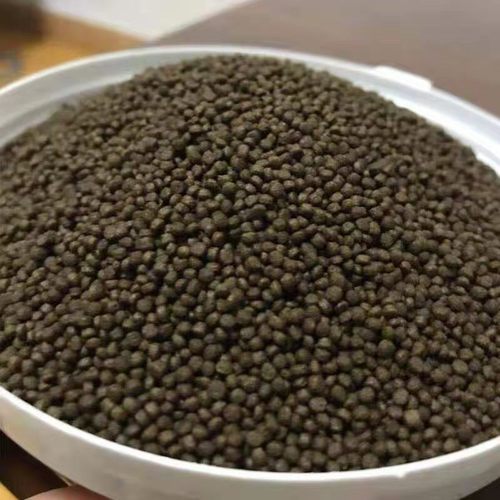 黑鱼吃什么饲料（黑鱼吃什么饵料）