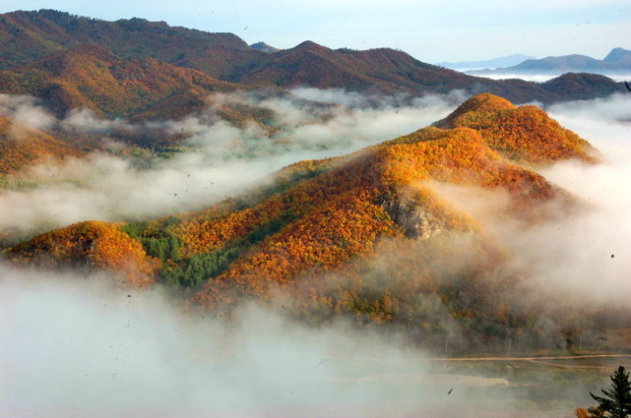 小兴安岭在哪里（小兴安岭的特点）