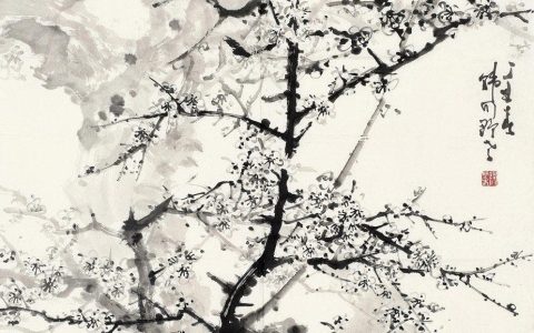 墨梅赏析（《墨梅》全诗）