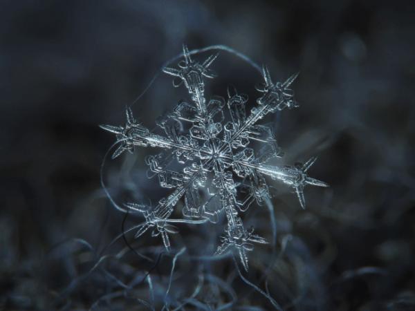 雪花是怎么形成的？雪花形成的原因