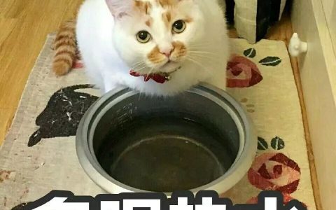 买了否冷啥意思（买了否冷是什么）