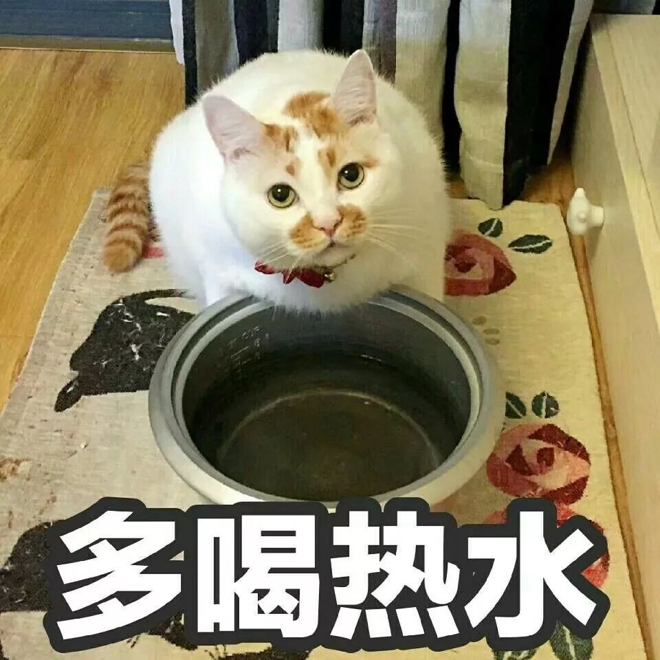 买了否冷啥意思（买了否冷是什么）