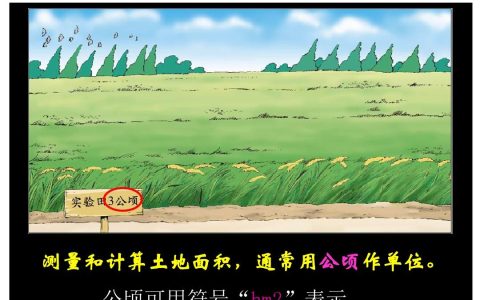 公顷的字母单位是什么？公顷用字母怎么表示