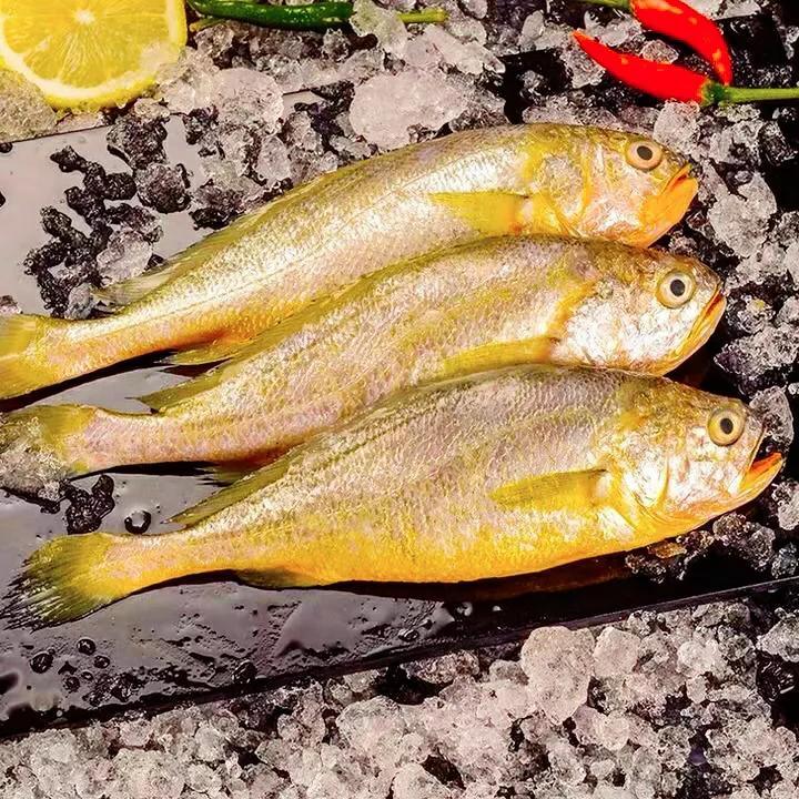 深海鱼有哪些？深海鱼的做法