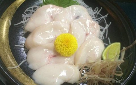 鱼白子是啥（鱼白子是鱼的哪个部位）