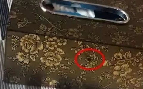 怎么查酒店有没有摄像头(手机怎么查酒店有没有摄像头)