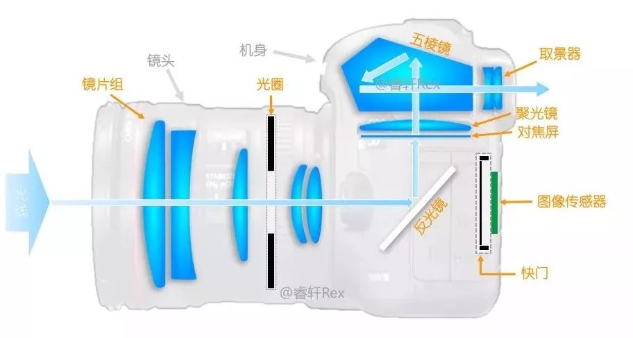 单反是什么意思？单反有什么优点