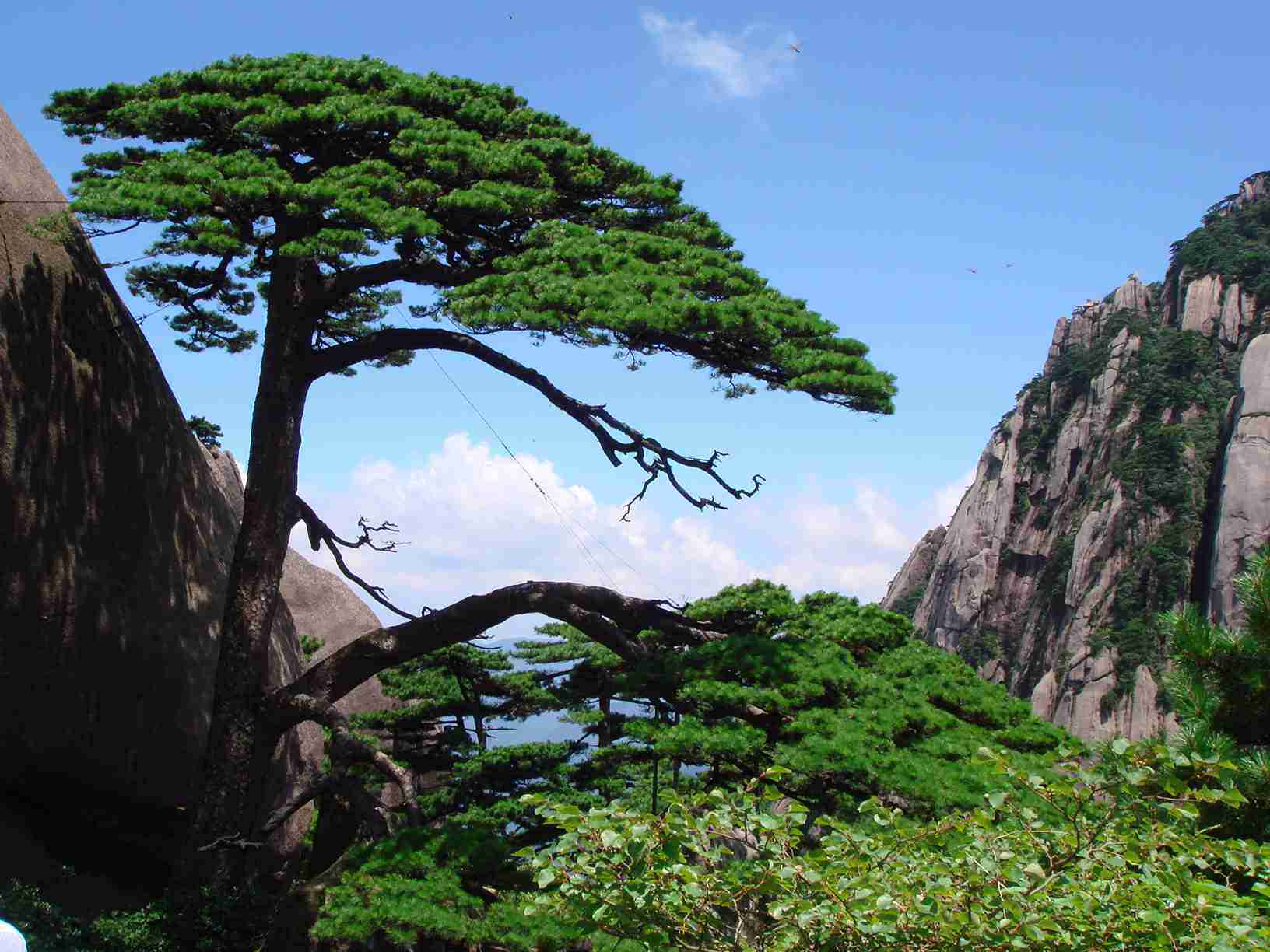 黄山地理位置