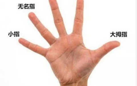 拇指是哪个手指（五个手指的名称）