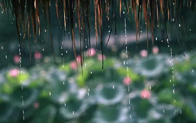 几月份是梅雨季节（梅雨季节是在几月份）