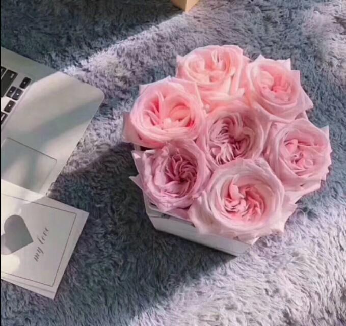 粉荔枝玫瑰花的花语（粉荔枝的寓意）