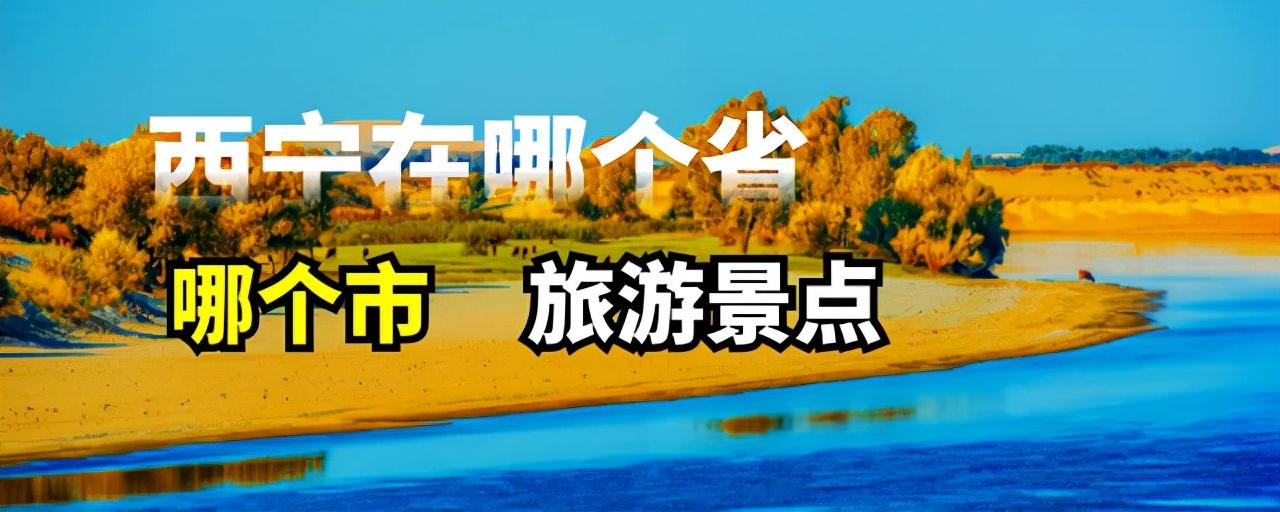 西宁属于哪个省（西宁概况）