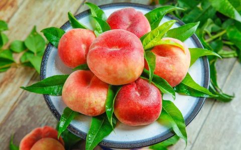 蟠桃的寓意(蟠桃寓意长寿)