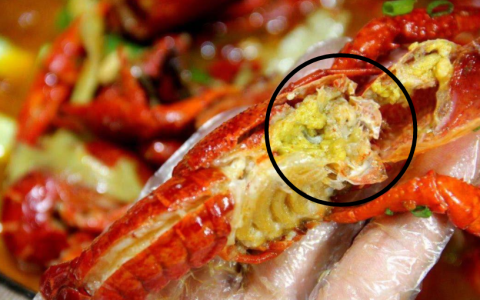 小龙虾黄可以吃吗（小龙虾黄能不能吃）