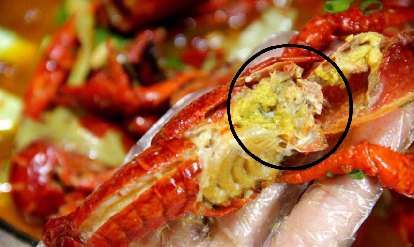 小龙虾黄可以吃吗（小龙虾黄能不能吃）