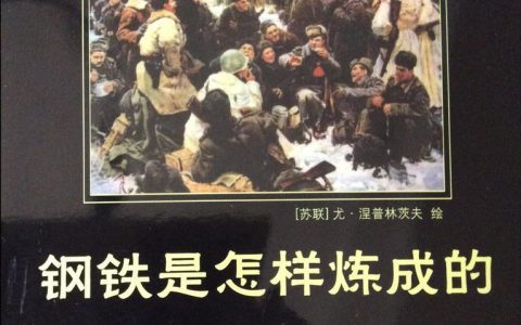 钢铁是怎样炼成的第十章内容概括（钢铁是怎样炼成的第十章主要内容）