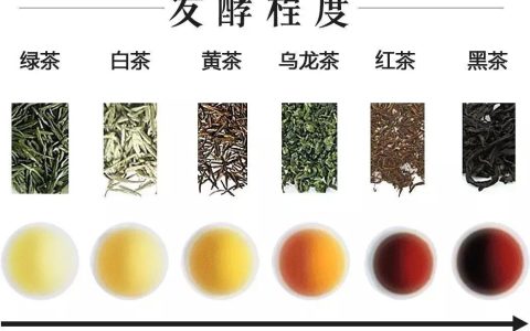 普洱属于六大茶类哪一种（普洱属于什么茶）