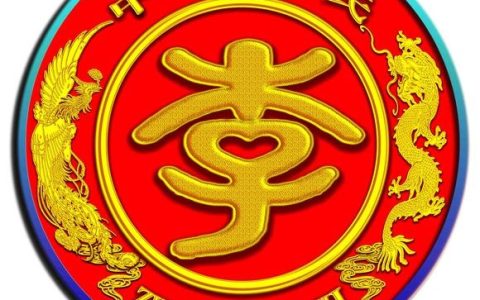 关于李姓的来源（关于李姓的来源和现状）