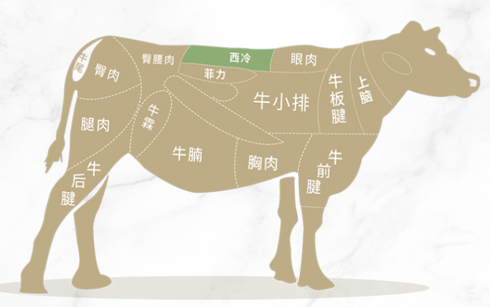 牛排肉是哪个部位的肉？牛排是牛的什么部位