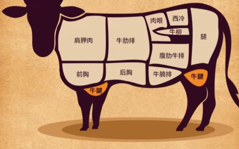 牛排肉是哪个部位的肉？牛排是牛的什么部位