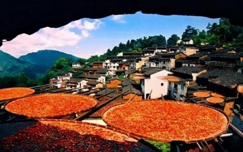 婺源在哪里，婺源在江西省的哪个城市？