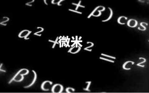 微米用字母怎样表示？