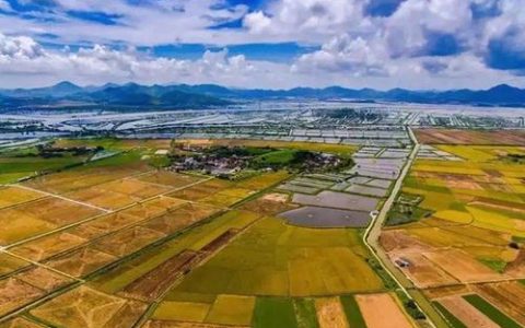 一万平方米等于多少亩?平方米换亩计算方法