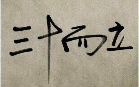 三十而已什么意思（三十而立什么意思）