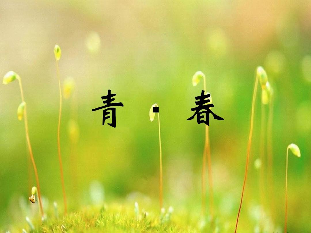 青春是多少岁（青春是多少岁之前）