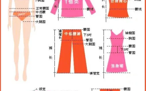 2尺的腰围是多少（腰围尺码换算表）