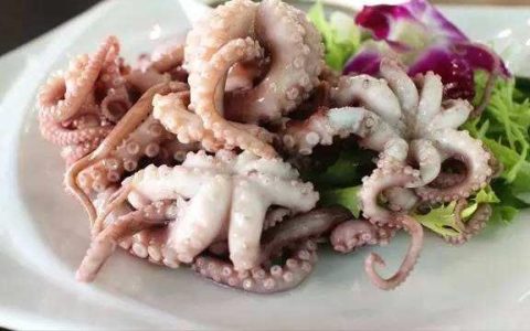 章鱼墨可以吃吗?章鱼墨汁有毒么